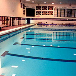 commercial pool2